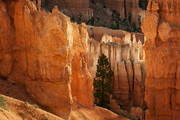 Bryce Canyon Nationa
